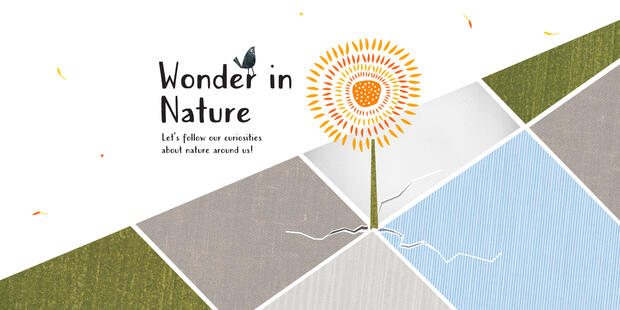Wonder In Nature