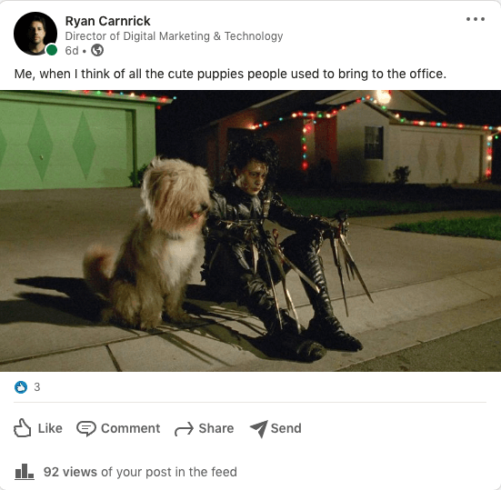 LinkedIn dogs at the office