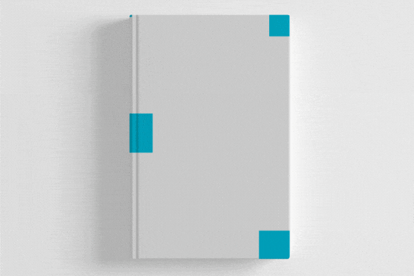 Privacy Audit book cover