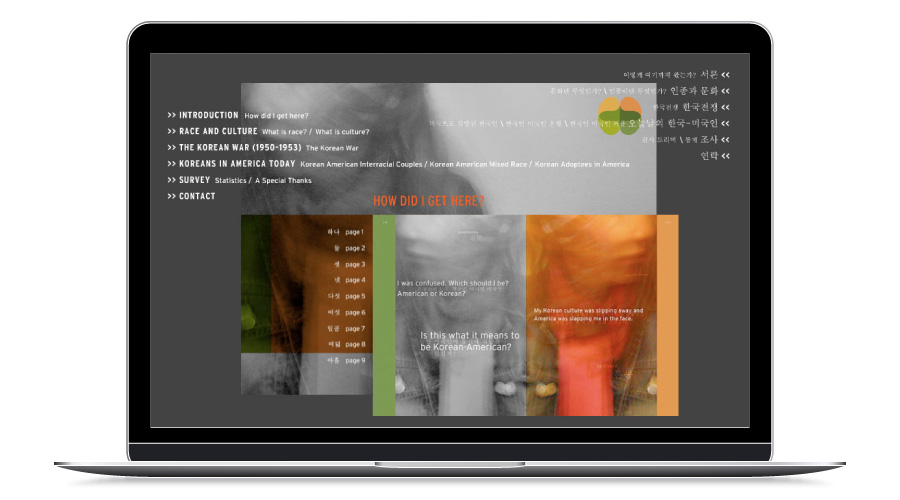 web design and development
